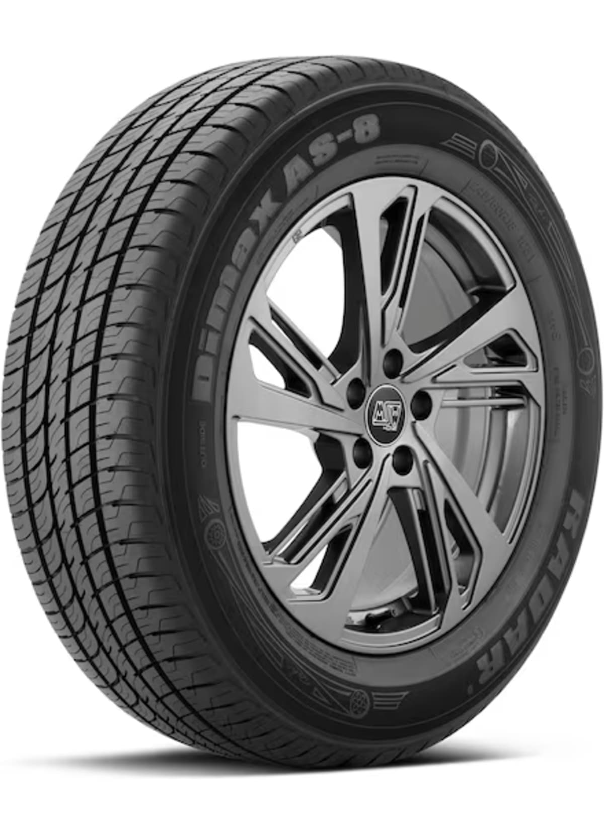 255/55R19 RADAR DMAX AS8 111W XL